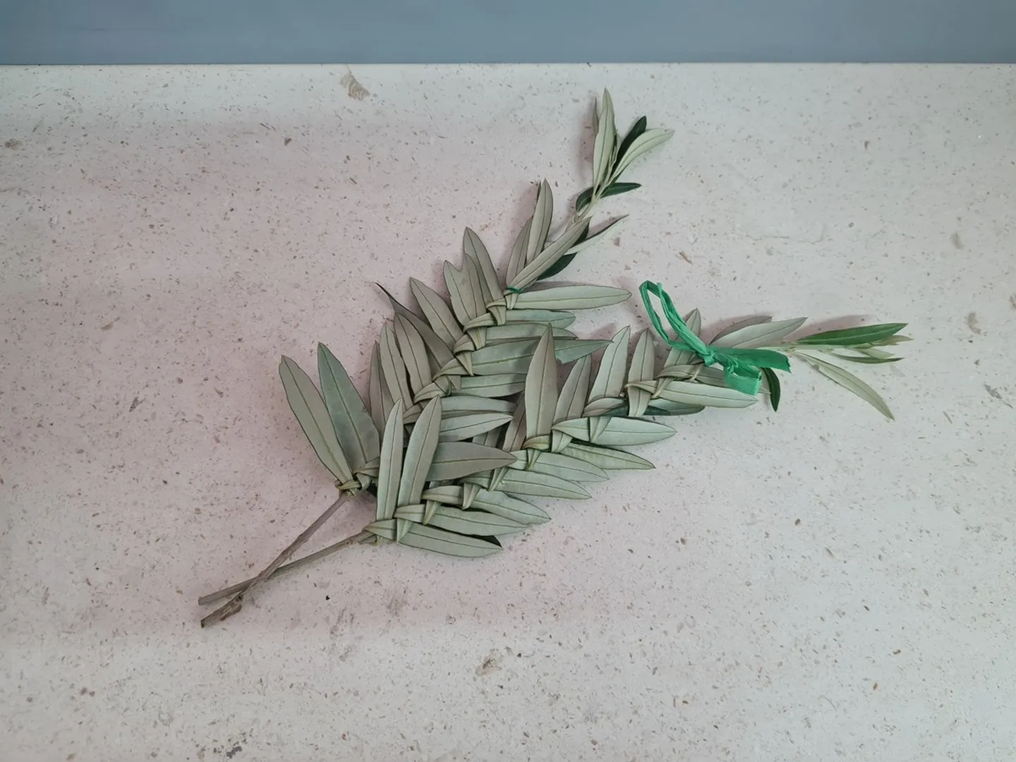 Maslinove palme - priprema za Cvjetnicu!